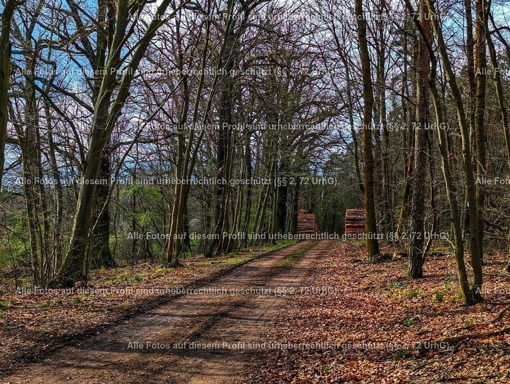 PXL_20240324_132513324-01-01 | krollfotografie - Realisiert mit Pictrs.com