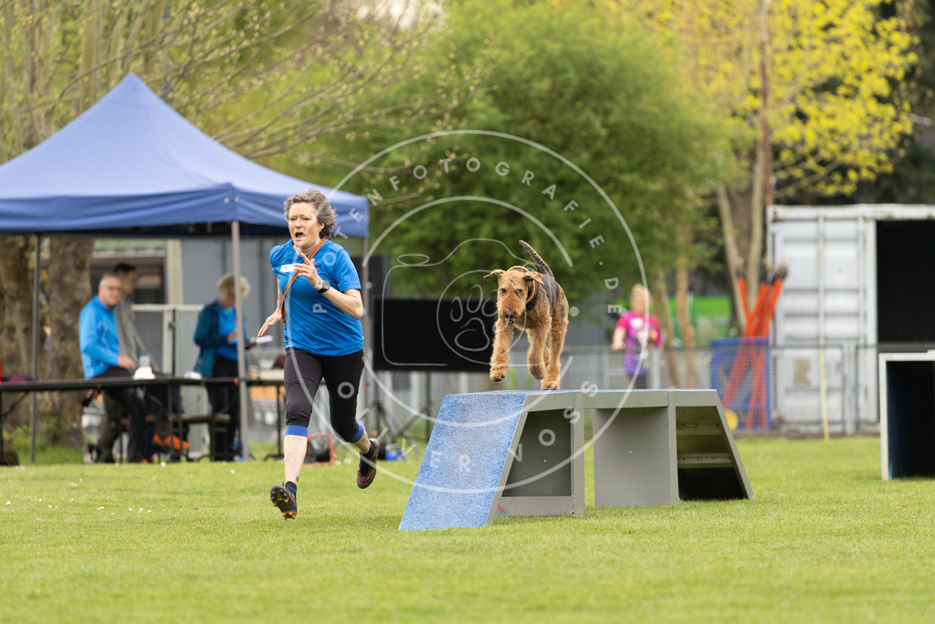 Pfotenfotografie_DV3A9013 | Hundefotografie, Tierfotograf, Pfotenfotografie, Fotoshooting Hund, Hunde Portrait, Hundesport, Hundeportraits, Heideshooting, Hunde, Sportfotograf, Hundefotograf, Turnierhundsport, THS,  - Realisiert mit Pictrs.com