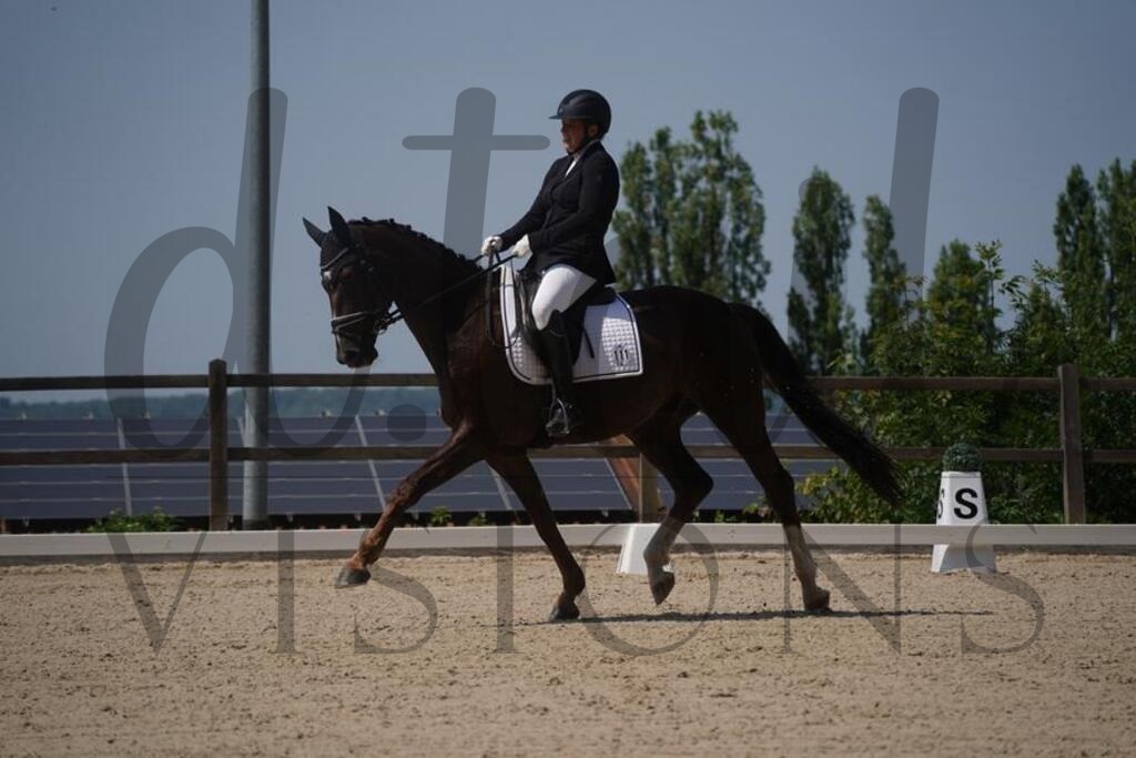 tgbhfreitag (928) | d.tail Visions - Shop - Realisiert mit Pictrs.com