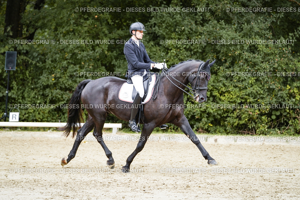 DSC05628 | Pferdegrafie