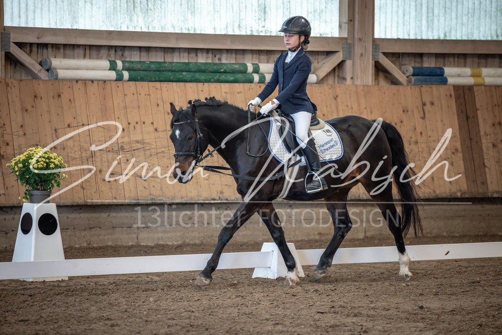 20251011-_3LI8237 | Tierfotografie Pferde, Hunde, Katzen, Haustiere.
Turnierfotografie Reitturniere, Reiten, Springreiten, Dressur in Hanau, dem Main-Kinzig-Kreis und dem Rhein-Main- Gebiet um Frankfurt