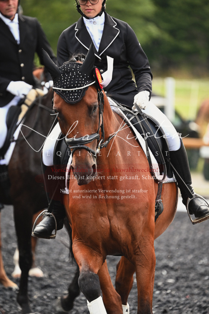 DSC_2800 | Pferde- und Turnierfotografie in Westsachsen. Pferdeportraits, Auftragszeichnungen und intuitive Kunst.