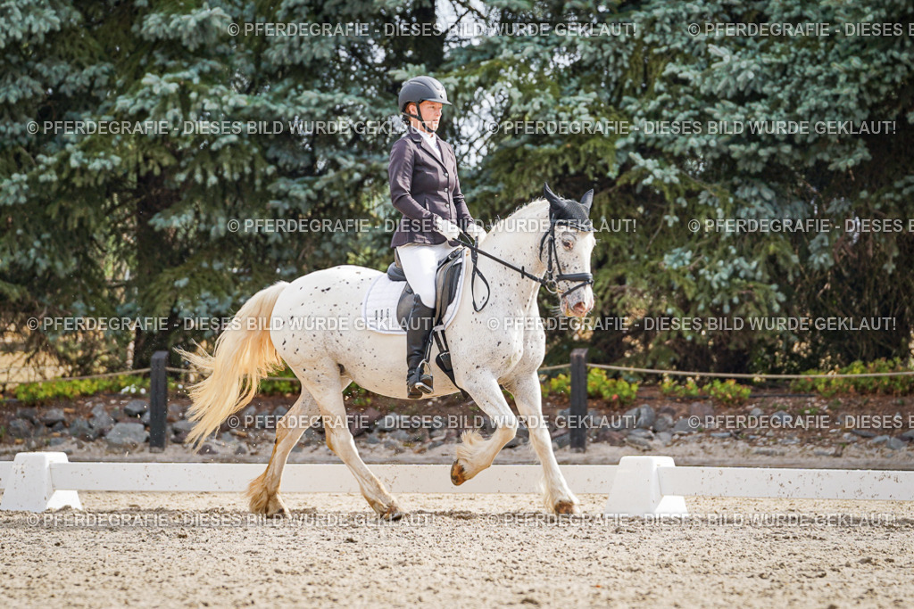 DSC01024 | Pferdegrafie