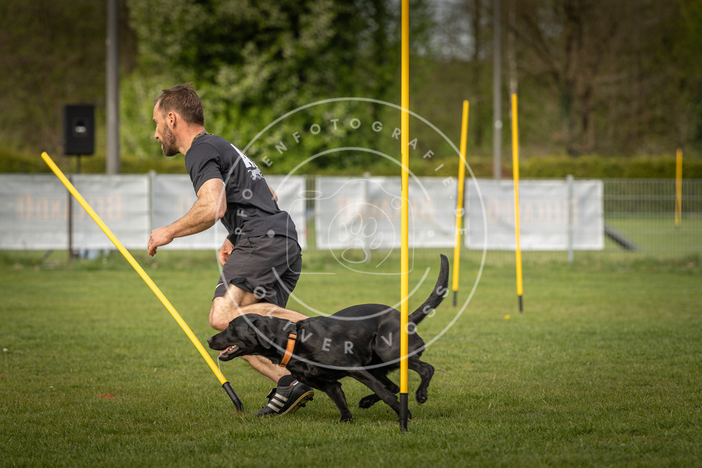 Pfotenfotografie_DV3A5566 | Hundefotografie, Tierfotograf, Pfotenfotografie, Fotoshooting Hund, Hunde Portrait, Hundesport, Hundeportraits, Heideshooting, Hunde, Sportfotograf, Hundefotograf, Turnierhundsport, THS,  - Realisiert mit Pictrs.com