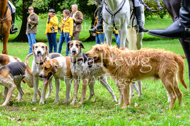 Jagd Perdoel 26 Fuji-9745_MarinaHewig | Fotografie, FotoArt, PferdesportArt, Pferdesportfotografie, Landschaftsfotografie, Reisefotografie, Reise, Pferde - Realisiert mit Pictrs.com
