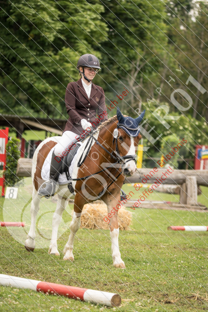IMG_8349 | Sport-, Event- und Tierfotos in Profiqualität. Einfach auswählen, bestellen und herunterladen. Dein Moment – perfekt festgehalten.