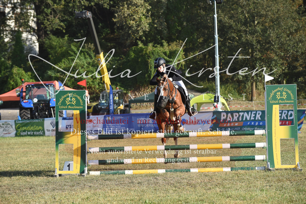 DSC_4983 | Pferde- und Turnierfotografie in Westsachsen. Pferdeportraits, Auftragszeichnungen und intuitive Kunst.