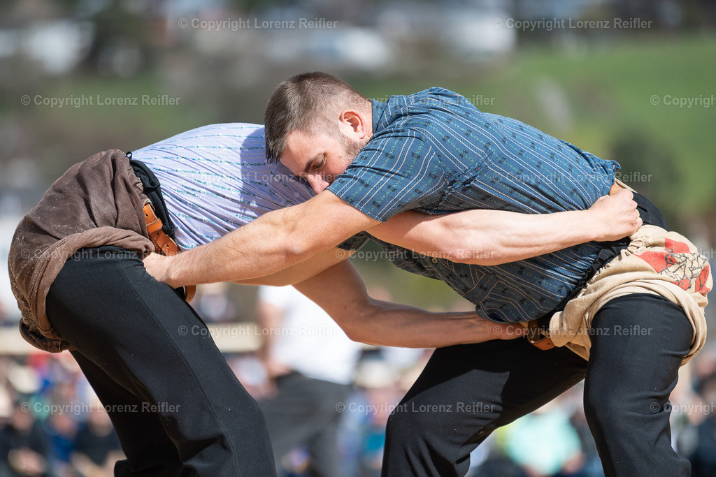 Schwingen -  Rheintal-Oberländer 2023 | Altstätten, 2.4.23, Schwingen - Rheintal-Oberländer.
