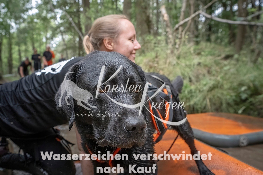 1201_ZZ96527T | kk-dogfotos