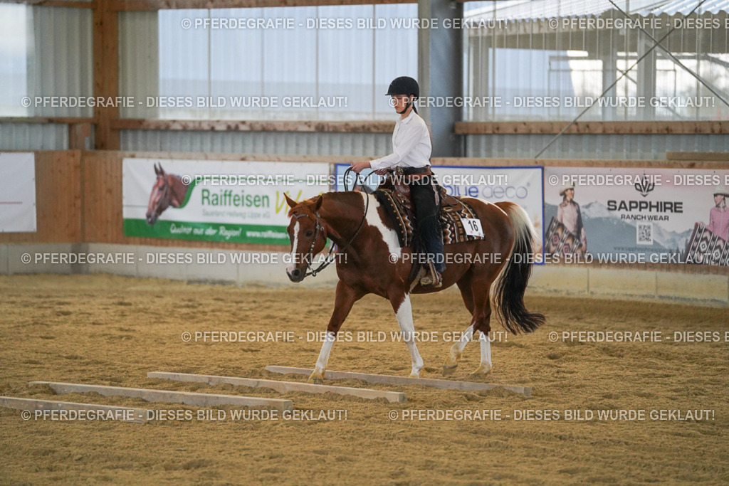 DSC09037 | Pferdegrafie