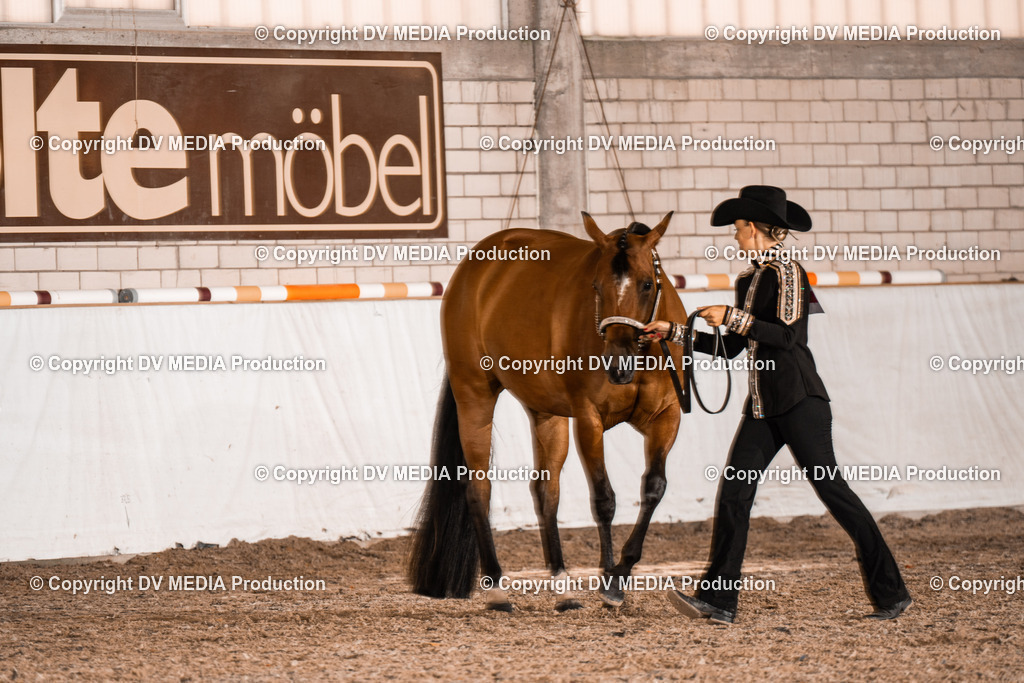 ZH200078 | dv-media-shop - Realisiert mit Pictrs.com