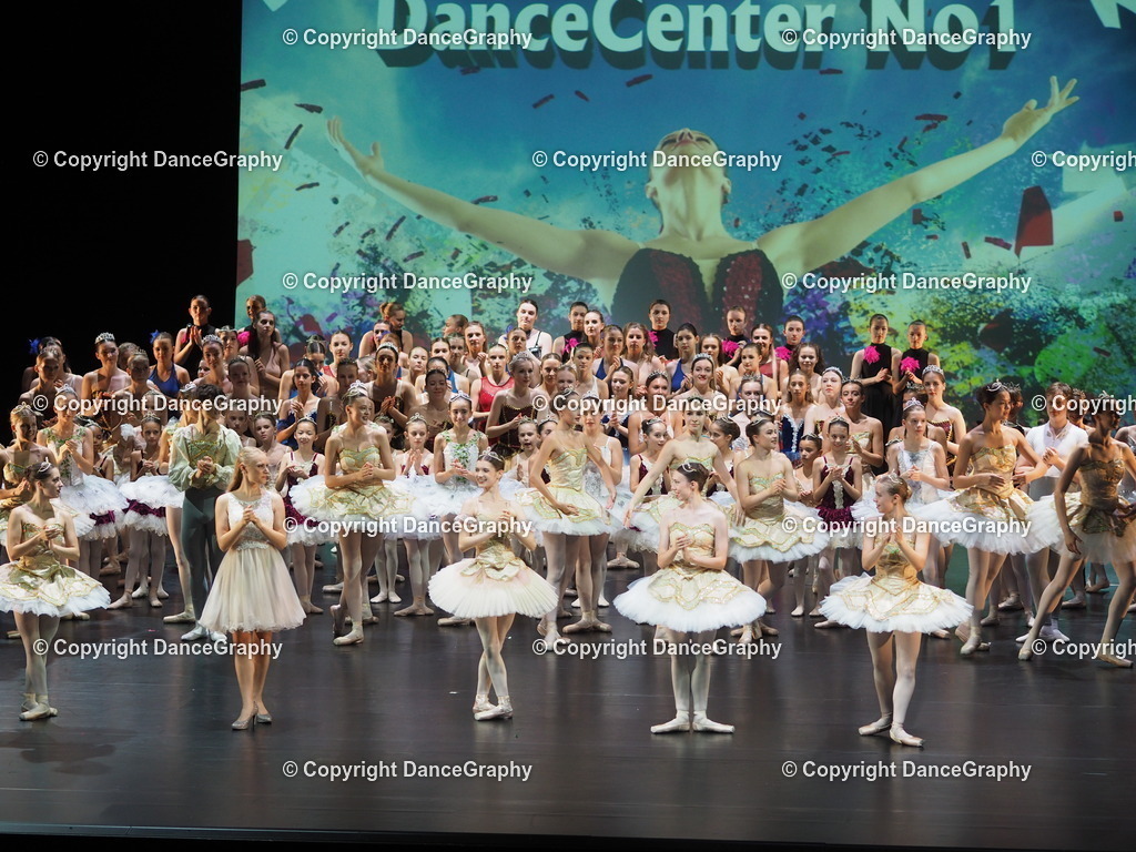 P7260498 | DanceGraphy - Realisiert mit Pictrs.com