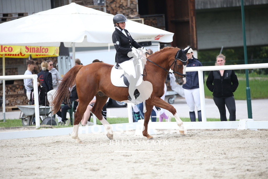 DL2Q3712 | Willkommen bei Brunnmayr - Design & Fotografie – Ihrem Spezialisten für Reitturniere und Pferdeveranstaltungen in Oberösterreich, Salzburg und Bayern! Seit über 17 Jahren sind wir leidenschaftlich dabei.