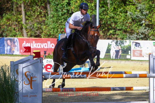 DKP43422 | Turniersportfotografie; Pferdefotografie; Dressurfotografie