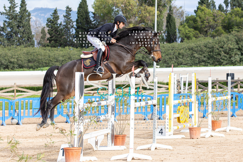 IMG_2453 | s-jay-photography - Realisiert mit Pictrs.com