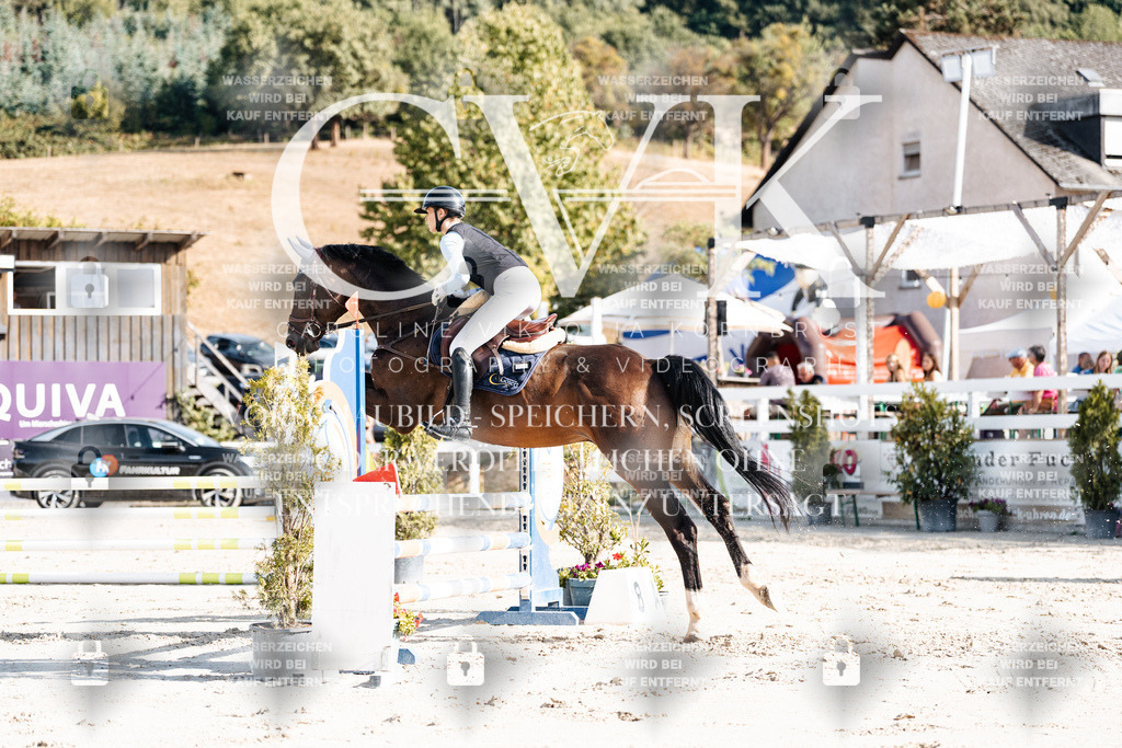 CK909263 | Turnierfotografie Pferdefotografie Trier Rheinland-Pfalz Pferdesport Reitsport Tierfotografie Sportfotografie Pferdevideo Pferdevideografie Equestrianvideography equestrianphotography  - Realisiert mit Pictrs.com