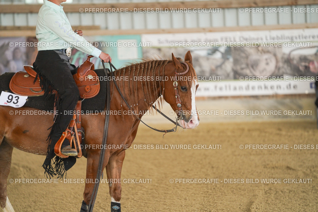 DSC03352 | Pferdegrafie