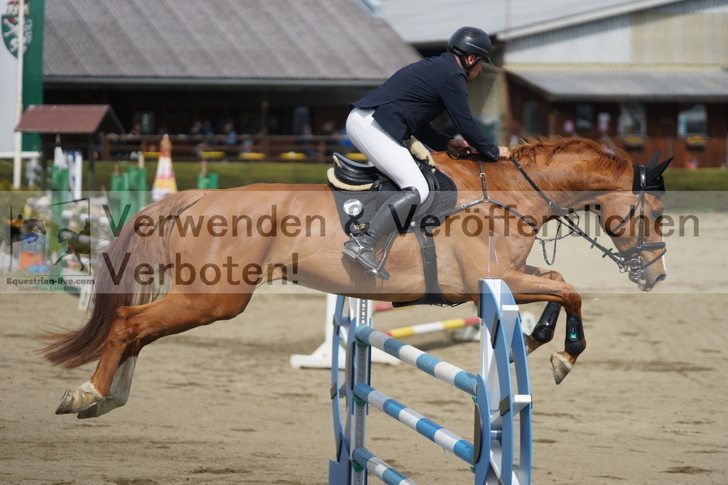 DSC01454 | equestrian-live-com