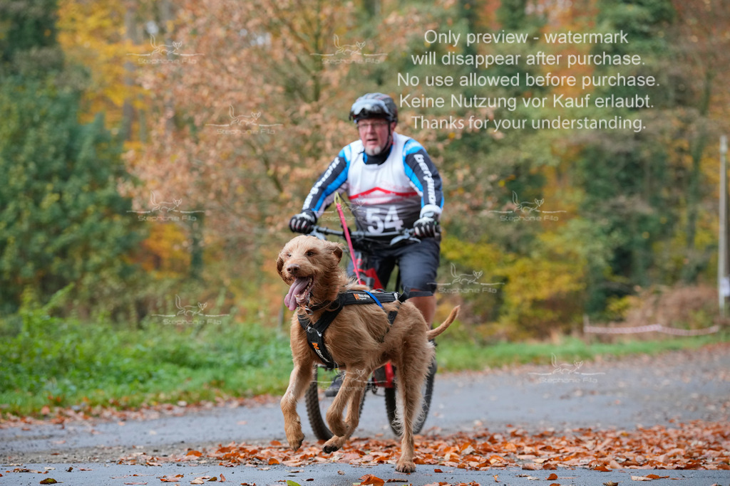 Bike_So-170 | stephaniefillaphotographie - Realisiert mit Pictrs.com