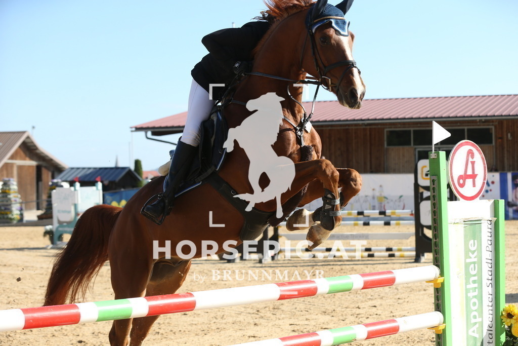 DL2Q0575 | Willkommen bei Brunnmayr - Design & Fotografie – Ihrem Spezialisten für Reitturniere und Pferdeveranstaltungen in Oberösterreich, Salzburg und Bayern! Seit über 17 Jahren sind wir leidenschaftlich dabei.