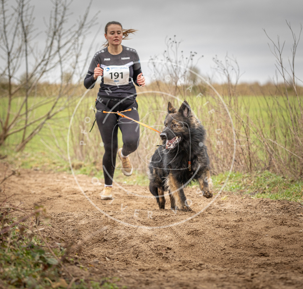 DV3A2188 | Hundefotografie, Tierfotograf, Pfotenfotografie, Fotoshooting Hund, Hunde Portrait, Hundesport, Hundeportraits, Heideshooting, Hunde, Sportfotograf, Hundefotograf, Turnierhundsport, THS,  - Realisiert mit Pictrs.com