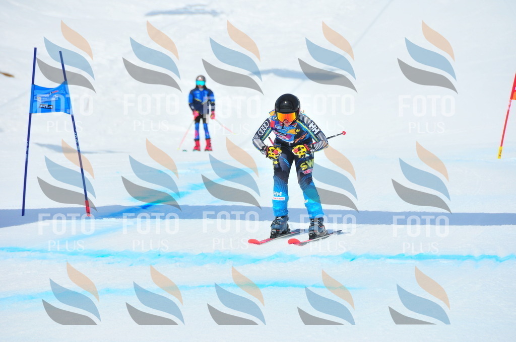 DSC_6722 | holidayphoto