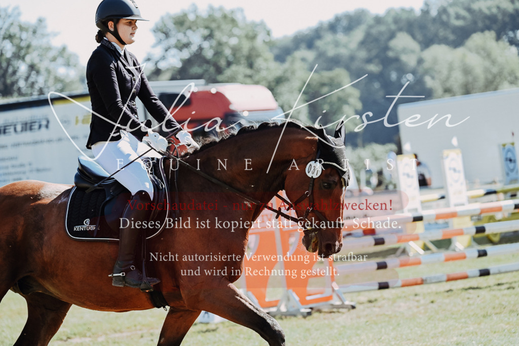 DSC_5537 | Pferde- und Turnierfotografie in Westsachsen. Pferdeportraits, Auftragszeichnungen und intuitive Kunst.