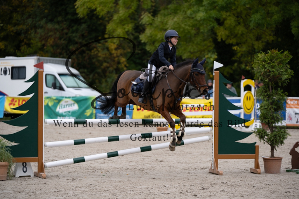 A7V09335 | Pferdefotograf