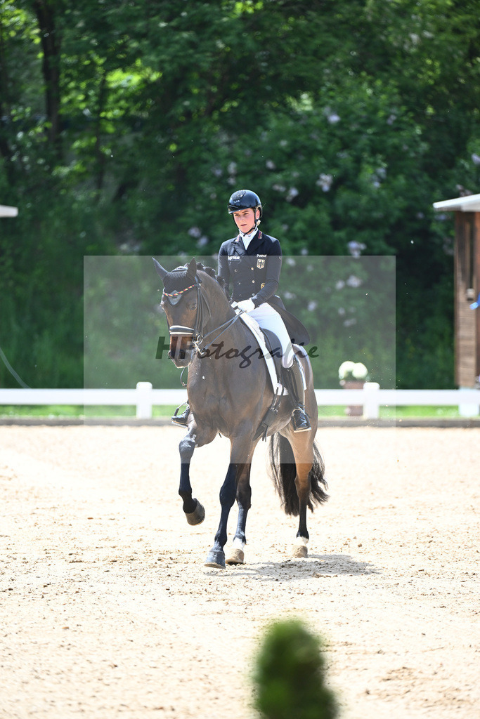 Hendricks_Drombusch OLD_12244071 | hf-fotografie - Realisiert mit Pictrs.com