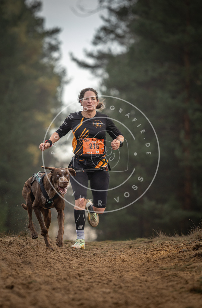 Pfotenfotografie_DV3A5308 | Hundefotografie, Tierfotograf, Pfotenfotografie, Fotoshooting Hund, Hunde Portrait, Hundesport, Hundeportraits, Heideshooting, Hunde, Sportfotograf, Hundefotograf, Turnierhundsport, THS,  - Realisiert mit Pictrs.com