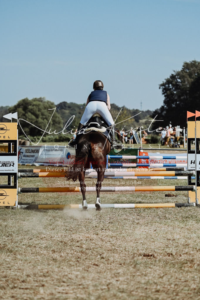 DSC_0014 | Pferde- und Turnierfotografie in Westsachsen. Pferdeportraits, Auftragszeichnungen und intuitive Kunst.