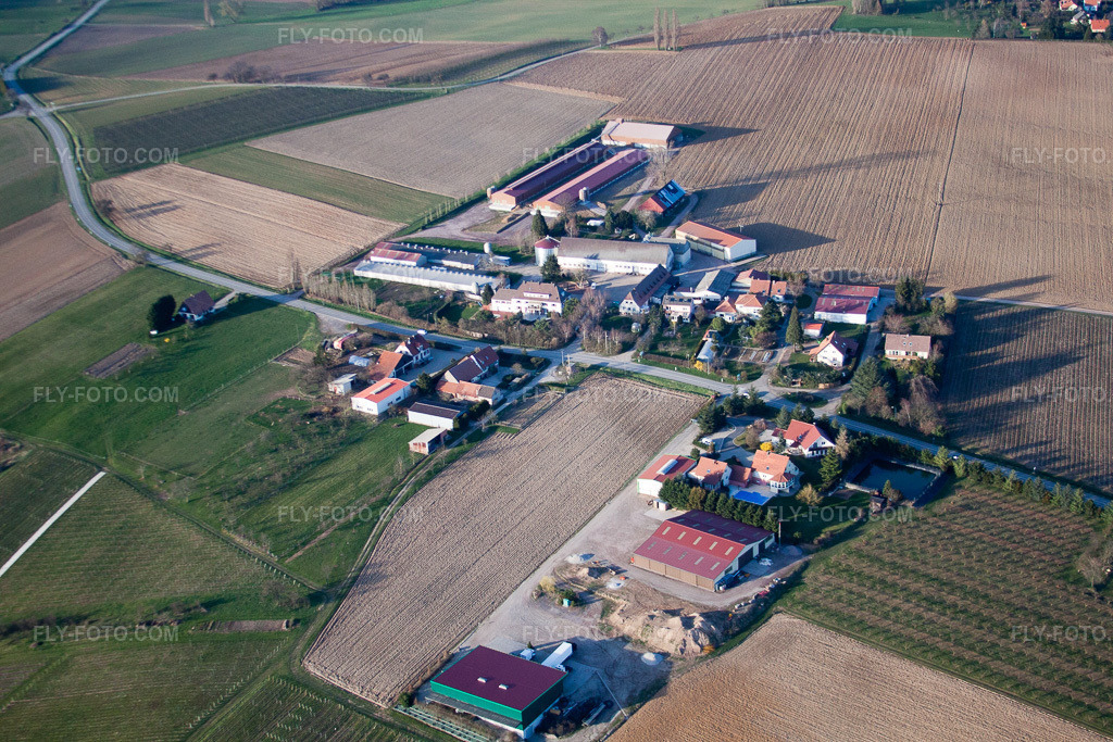 Aerial view: View of the town in Steinseltz in the state Bas-Rhin, France.Photo: IMG_38783.jpg taken on 03/20/2011 by Werner Riehm/FLY-FOTO.comResolution of the original: 4752 x 3168 px