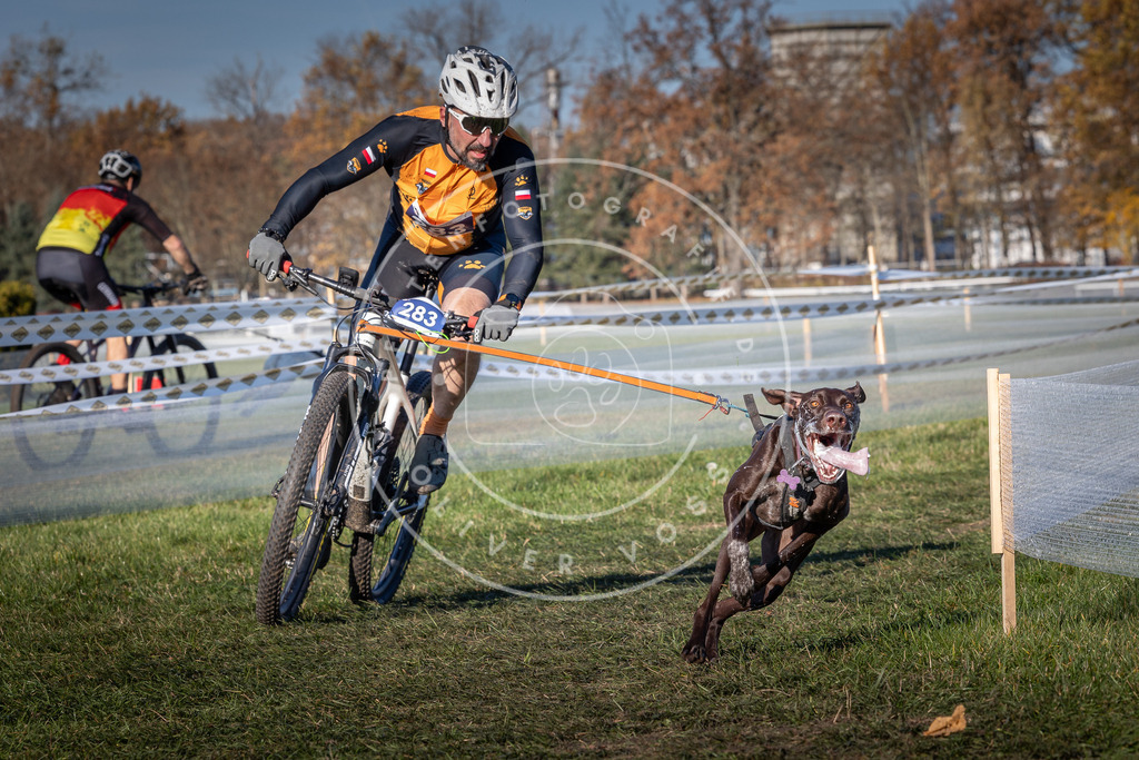 CaniXpix_0L8A5277 | Hundefotografie, Tierfotograf, Pfotenfotografie, Fotoshooting Hund, Hunde Portrait, Hundesport, Hundeportraits, Heideshooting, Hunde, Sportfotograf, Hundefotograf, Turnierhundsport, THS,  - Realisiert mit Pictrs.com
