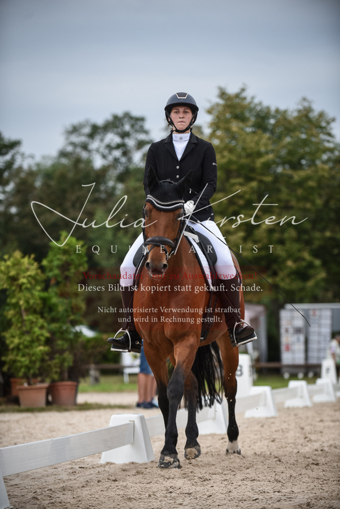 DSC_7976 | Pferde- und Turnierfotografie in Westsachsen. Pferdeportraits, Auftragszeichnungen und intuitive Kunst.