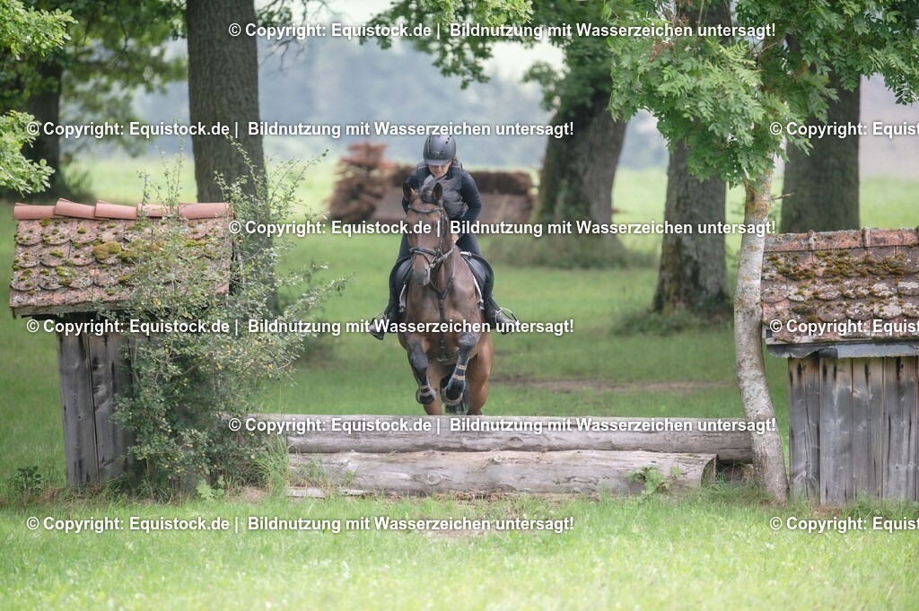 20250726_Vielseitigkeitslehrgang-Marbach_0373 | Foto: Thomas Hartig