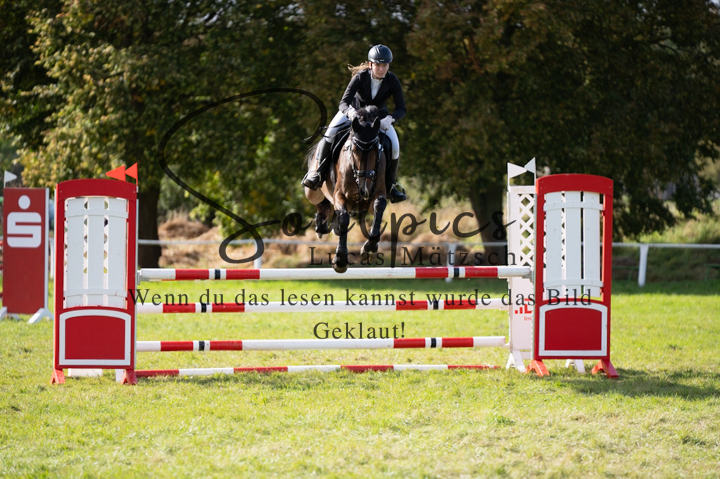 A7V06945 | Pferdefotograf