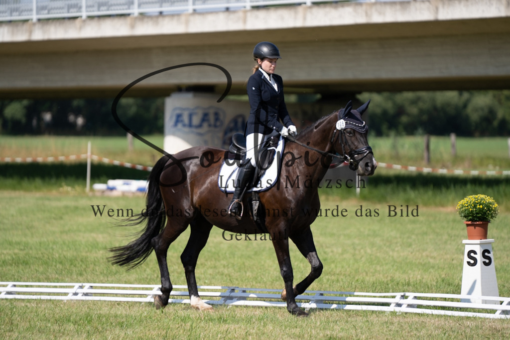 A7V09634 | Pferdefotograf