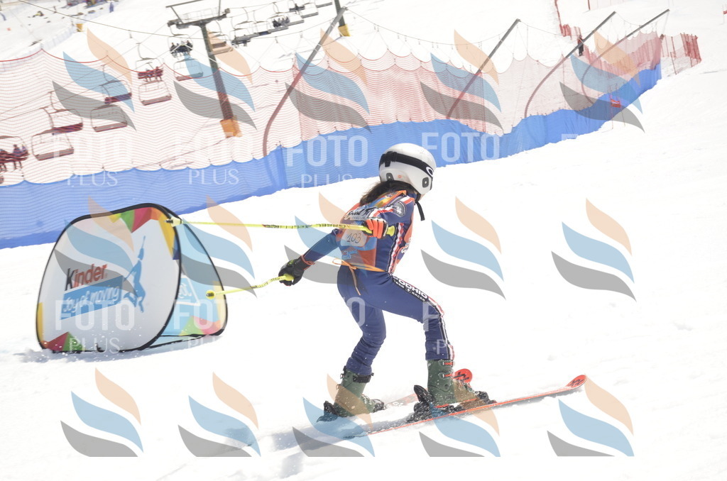 _ELE9395 | holidayphoto