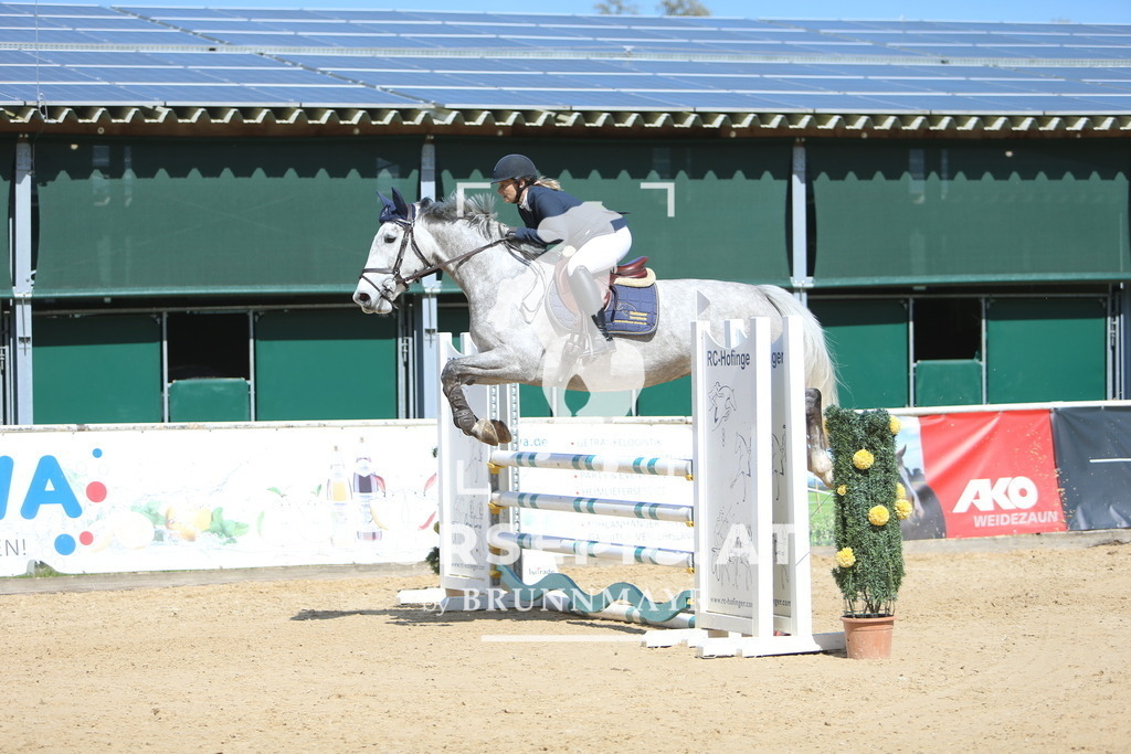 DL2Q0223 | Willkommen bei Brunnmayr - Design & Fotografie – Ihrem Spezialisten für Reitturniere und Pferdeveranstaltungen in Oberösterreich, Salzburg und Bayern! Seit über 17 Jahren sind wir leidenschaftlich dabei.