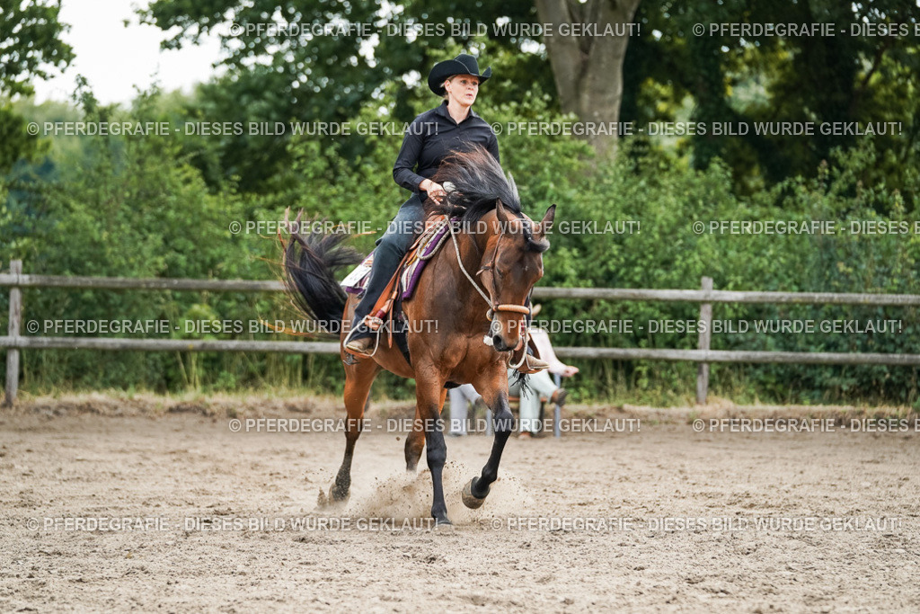 DSC03420 | Pferdegrafie