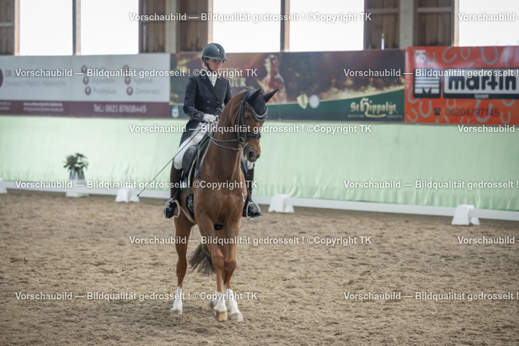 _D5A6451 | Emotionale Pferde- & People-Fotografie rund um Heidelberg, Leimen & Umgebung. Natürliche Fotos von Pferd, Mensch & Familie. Jetzt Termin sichern!