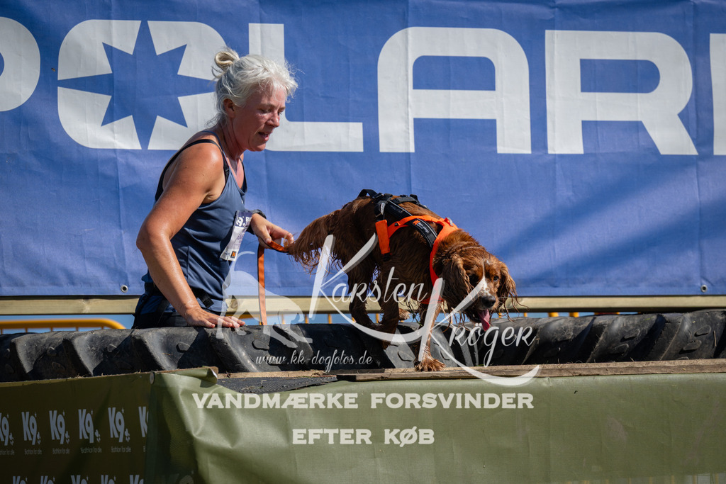 1052_ZZ99346 | kk-dogfotos