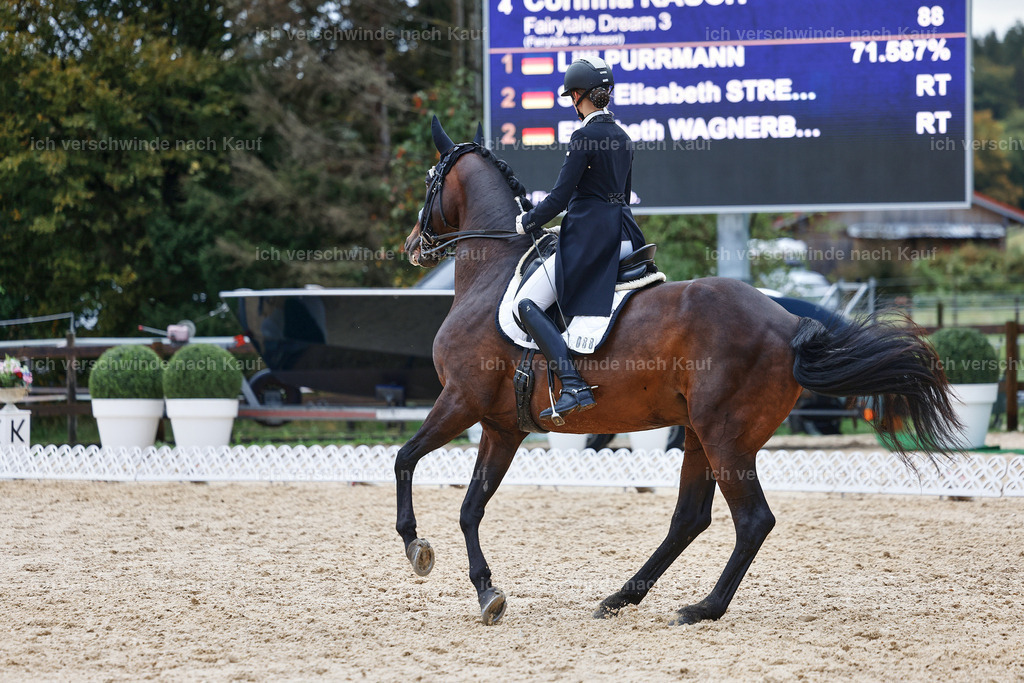 8_2-088-DRESSUR S_  -StoibPH-4445 | working equitationturnier fotograf videograf stoibphotography marixx film working equitation deutschland reitsport turnierfotografie eventfotografie equestrian events