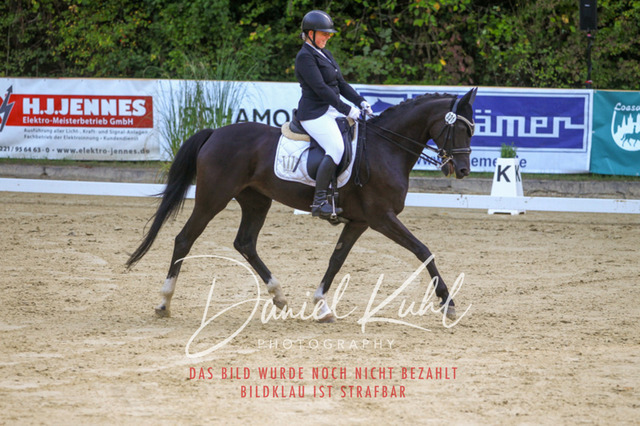 DKP41481 | Turniersportfotografie; Pferdefotografie; Dressurfotografie