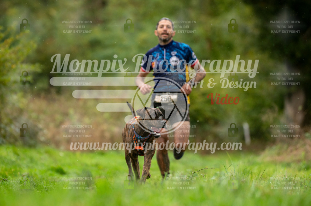 TSB_2023_E6_Canicross-41 | PayLife