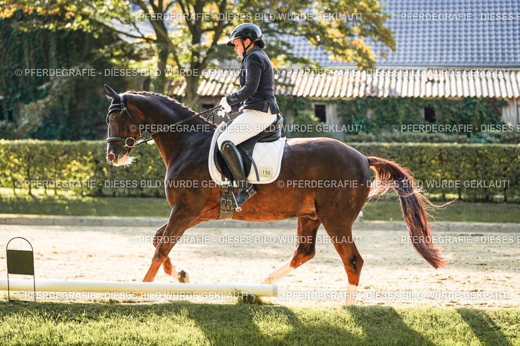 DSC06505 | Pferdegrafie