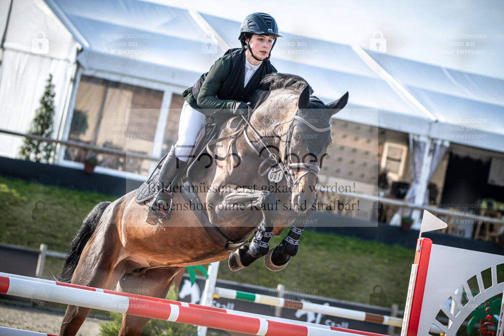 DOS_4919 | Entdecke hochwertige Reitturnierfotos von Foto Oger. Professionell, emotional und authentisch – jetzt Lieblingsmomente im Shop bestellen. - Realisiert mit Pictrs.com