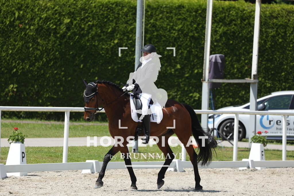 0P6A1194 | Willkommen bei Brunnmayr - Design & Fotografie – Ihrem Spezialisten für Reitturniere und Pferdeveranstaltungen in Oberösterreich, Salzburg und Bayern! Seit über 17 Jahren sind wir leidenschaftlich dabei.