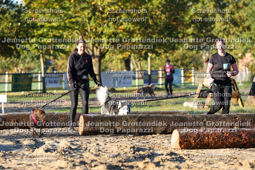 Dog Paparazzi - Strongdog 10-25-667 | Dog Paparazzi Jeanette Grottendiek Fotografie & Videografie - Realisiert mit Pictrs.com