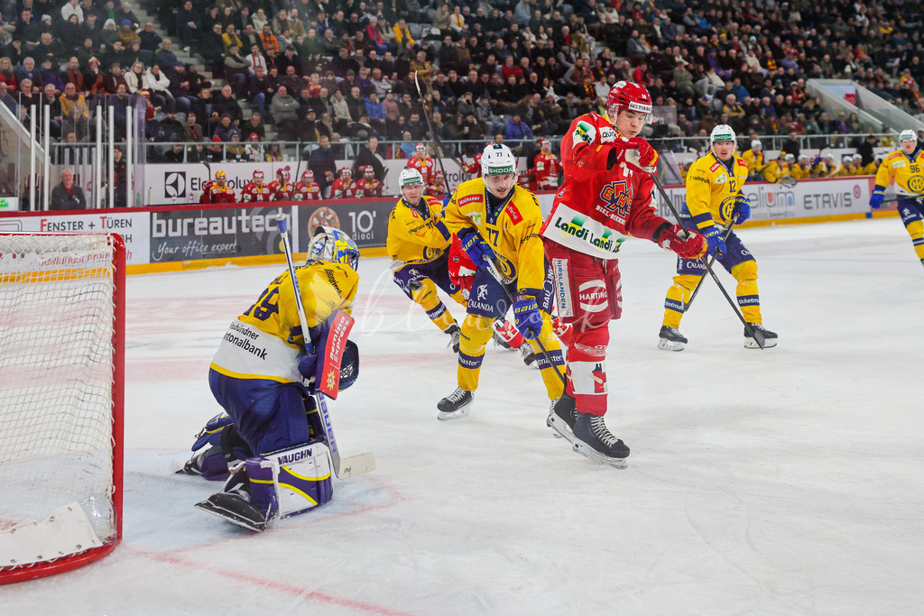 2J4A0077AEHCB vs HCD_wb | Sportbilder, Sportfotograf, Hochzeits- und Eventfotografin, Flugshows, Portraits und Tiershooting, Aviation, Downhill, Nationalleague, Swissleague, International